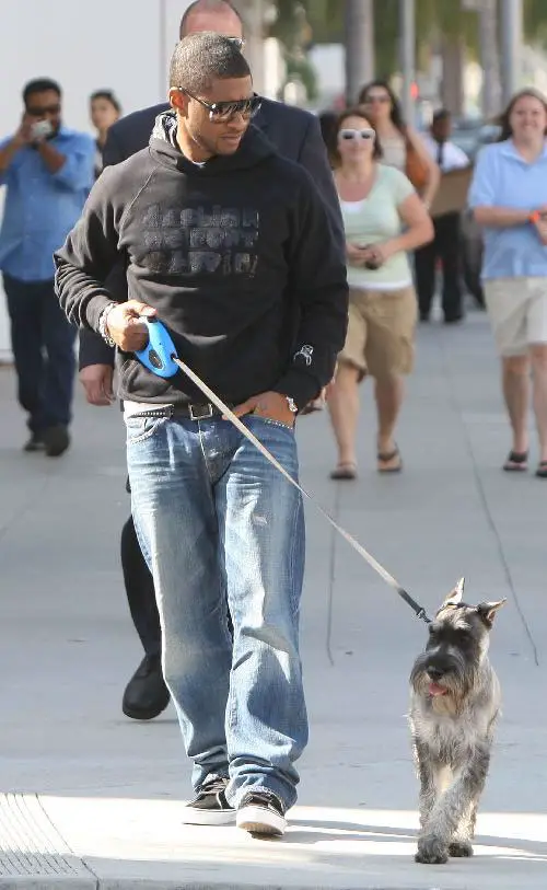 Usher walking his Schnauzer dog in the streets