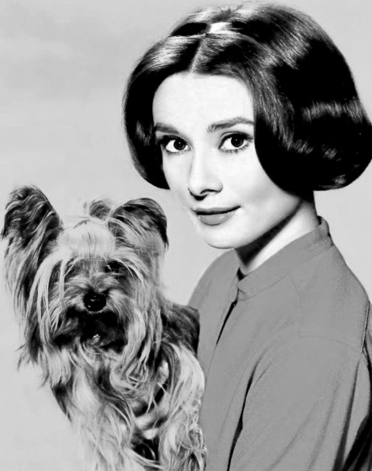 black and white photo of Audrey Hepburn with her Yorkshire Terrier in her arms