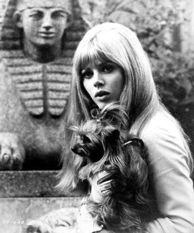 black and white photo of a Britt Ekland with her Yorkshire Terrier