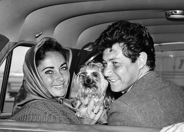 black and white photo of Elizabeth Taylor with another guy and a Yorkshire Terrier in between them inside the car