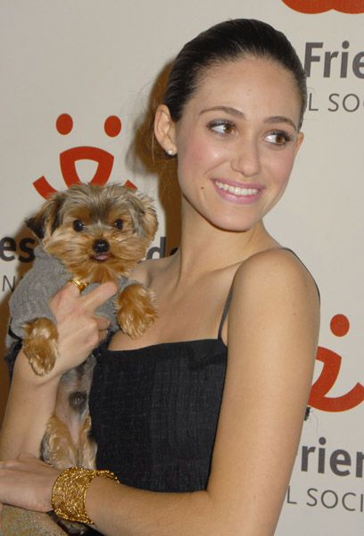 Emmy Rossum carrying her adorable Yorkshire Terrier
