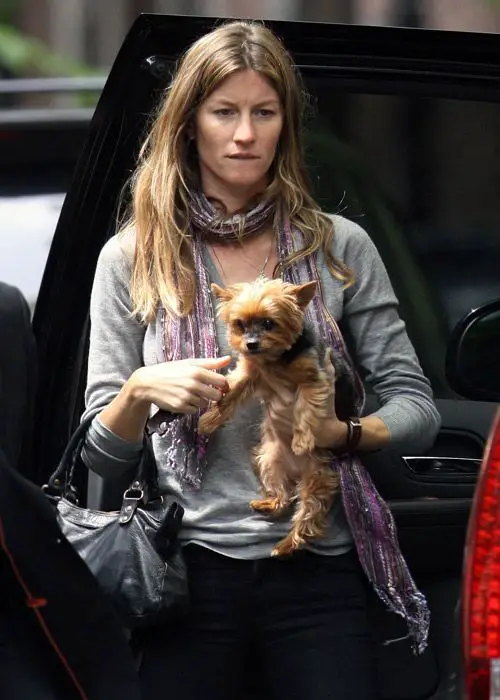 Gisele Bundchen walking out from the while holding her Yorkshire Terrier
