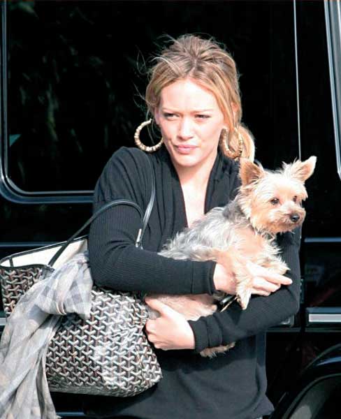 Hilary Duff walking out of the car while holding her Yorkshire Terrier
