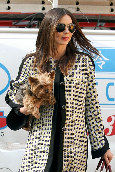 Miranda Kerr walking in the street while carrying her Yorkshire Terrier