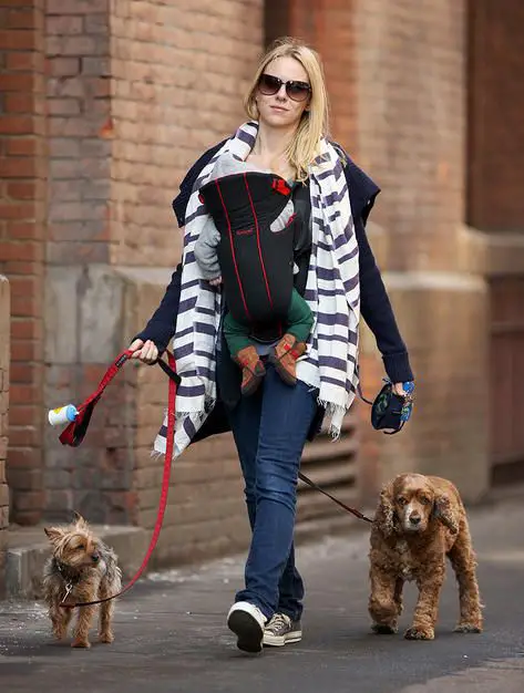 Naomi Watts walking in the street with her Yorkshire Terrier and cocker spaniel on a leash and her baby in a bag around her body