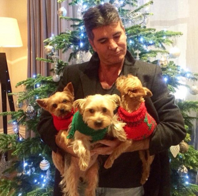 Simon Cowell carrying his three Yorkshire Terriers while standing in front of the christmas tree