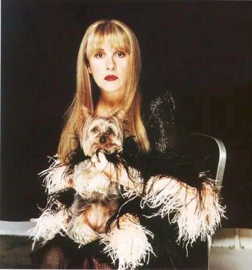 Stevie Nicks sitting on a chair with her Yorkshire Terrier in her lap