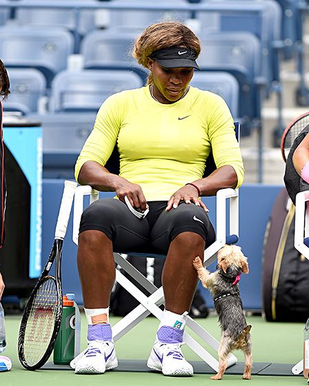 Venus Williams sitting on the chair while looking down at her Yorkshire Terrier standing up leaning on her legs