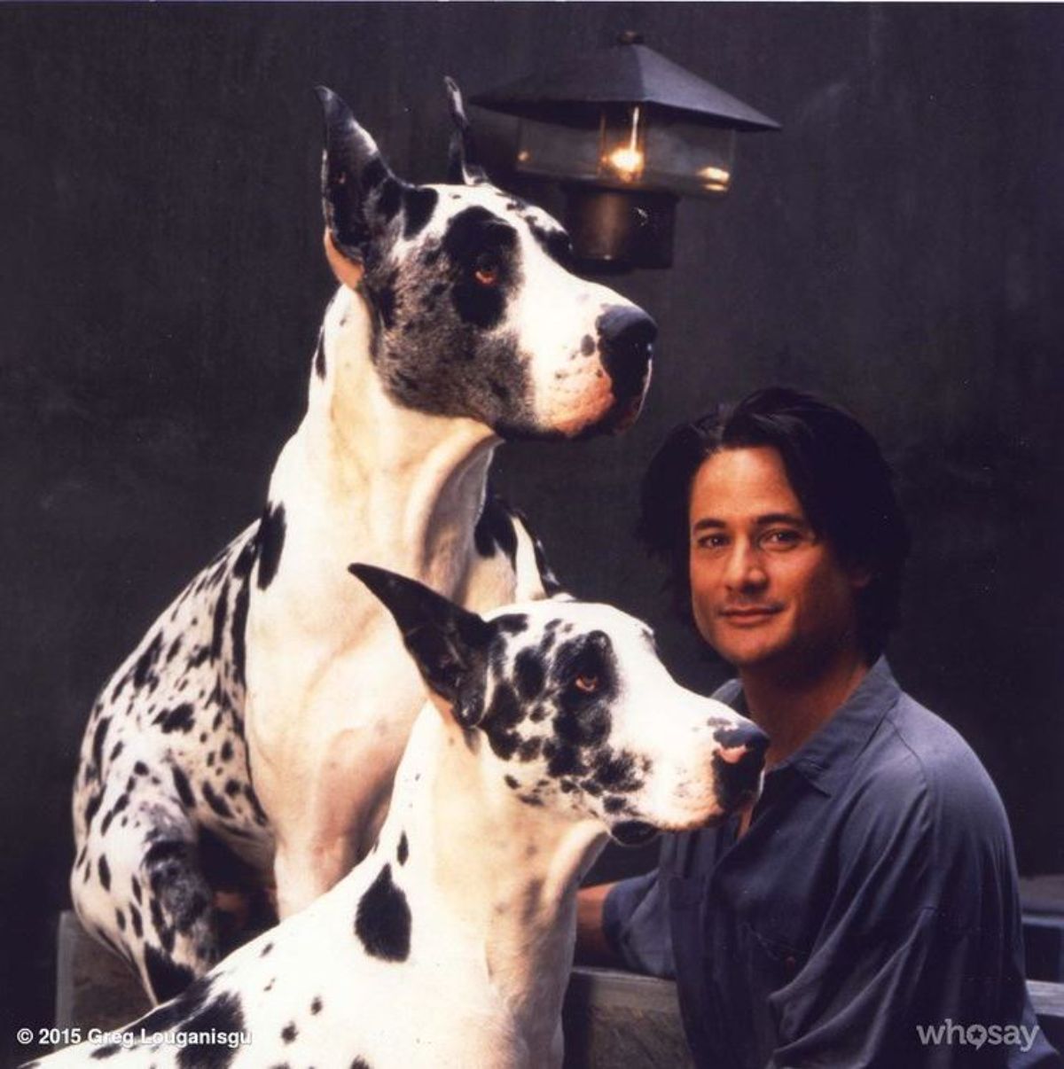 Greg Louganis with his two massive Great Danes