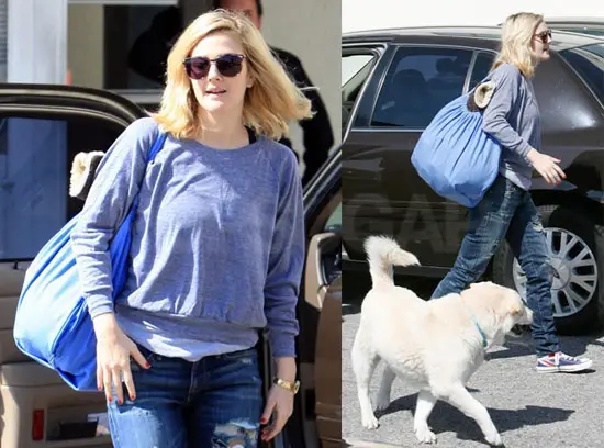 Drew Barrymore at the parking lot with her Labrador