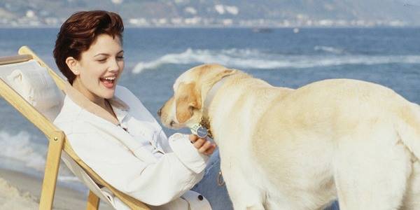 Drew Barrymore sitting by the seashore while petting her Labrador