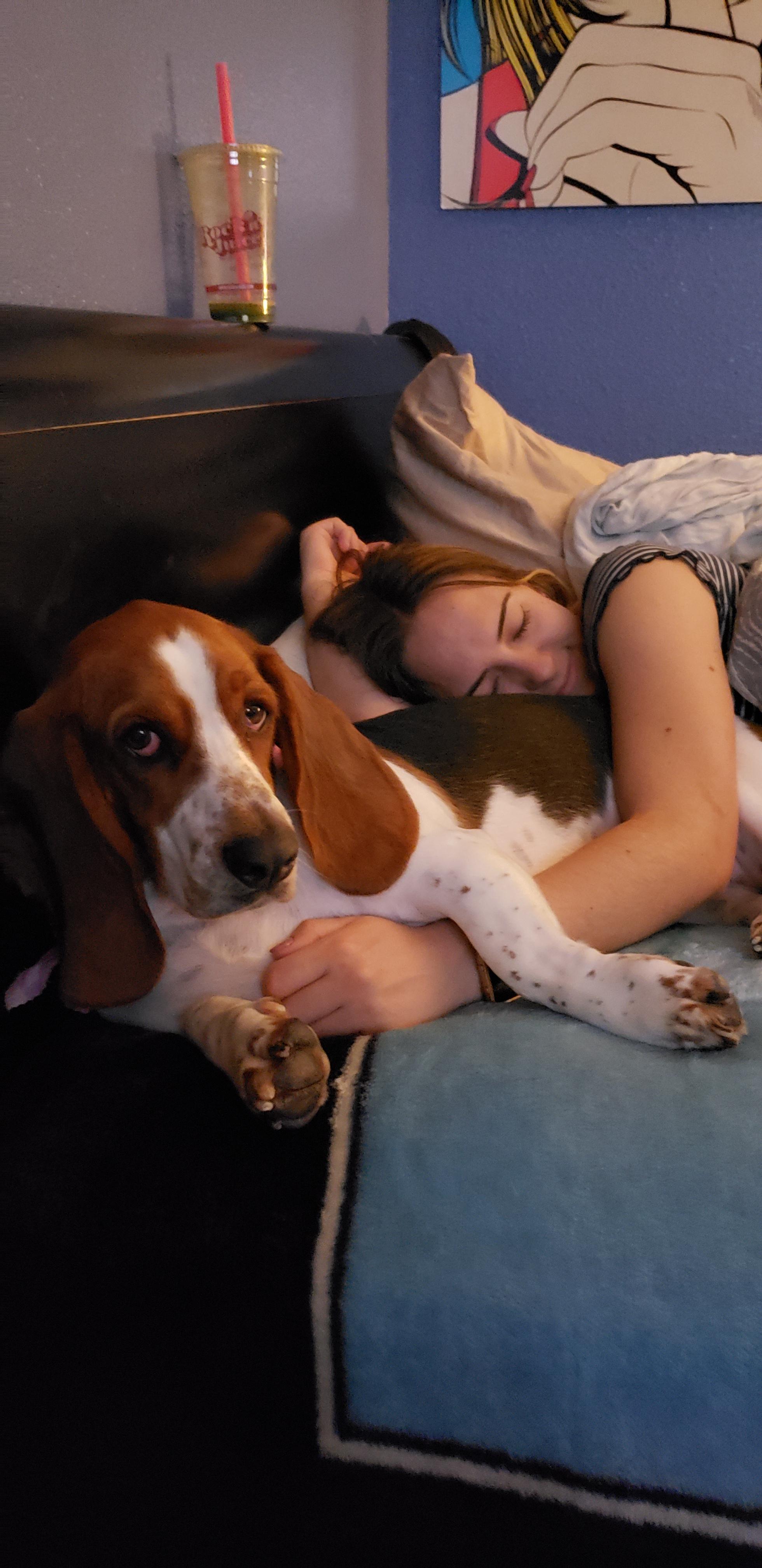 a lady on the couch cuddling with a Basset Hound