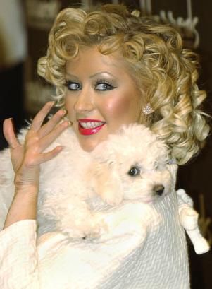 Christina Aguilera hugging her Bichon Frise puppy over her shoulder while waving to the camera