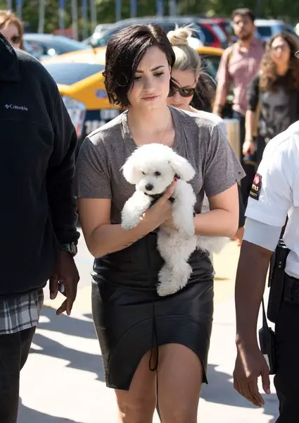 Demi Lovato walking in the street while holding her Bichon Frise puppy