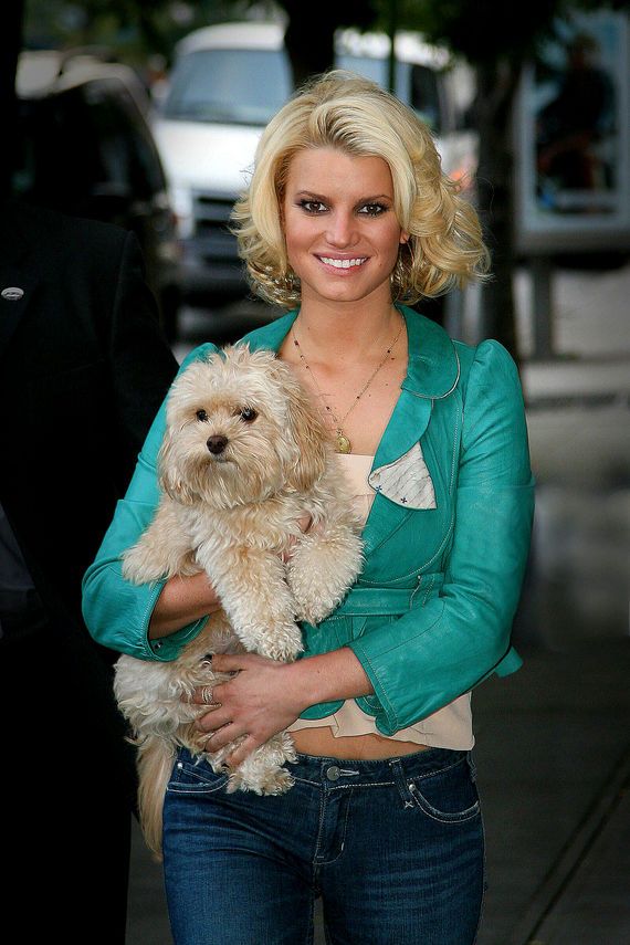 Jessica Simpson carrying her Bichon Frise