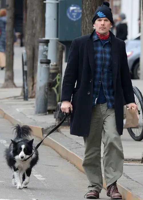  Ethan Hawke on the streets walking with his Border Collie dog