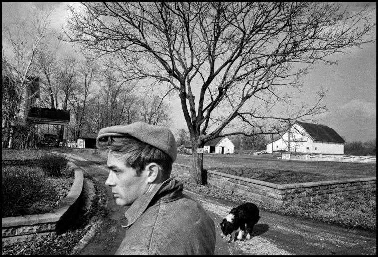 Black and white photo James Dean at the park with his Border Collie dog