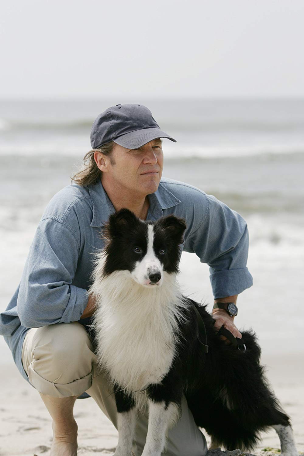 Jeff Bridges at the beach with his  Border Collie dog
