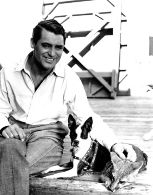 black and white photo of Cary Grant sitting with his Boston Terrier
