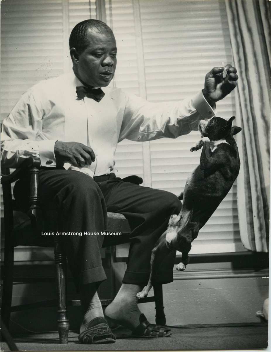 Louis Armstrong playing with his Boston Terrier dog