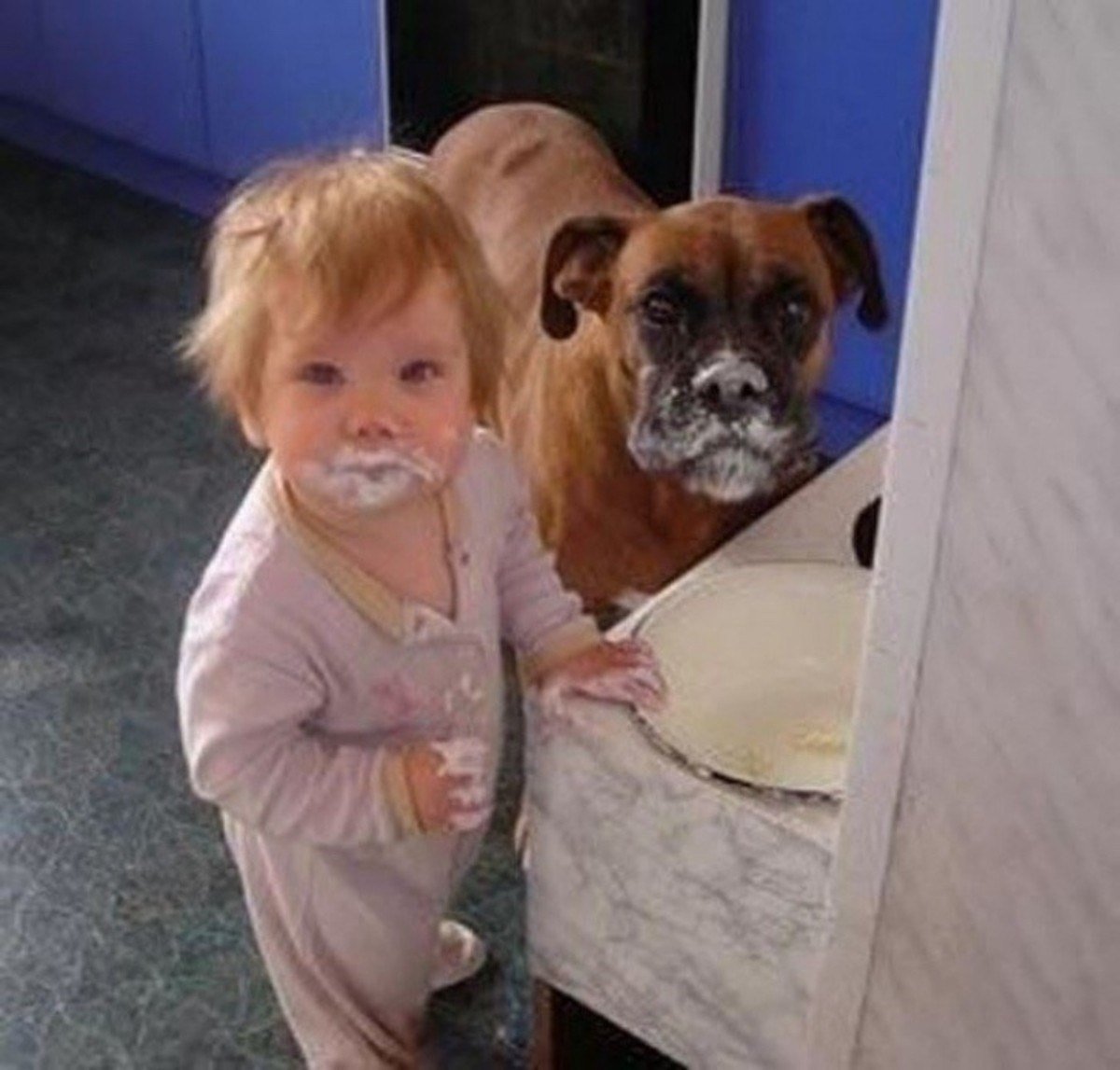 Boxer Dog and baby with white icing on their faces