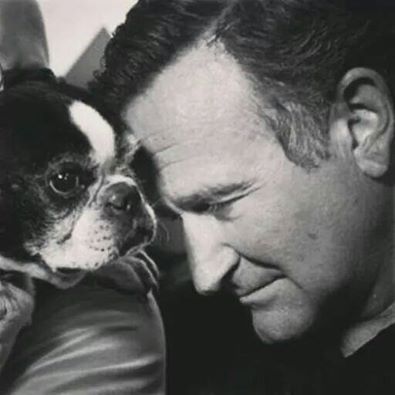 black and white photo of Robin Williams pressing its head against a Boston Terrier