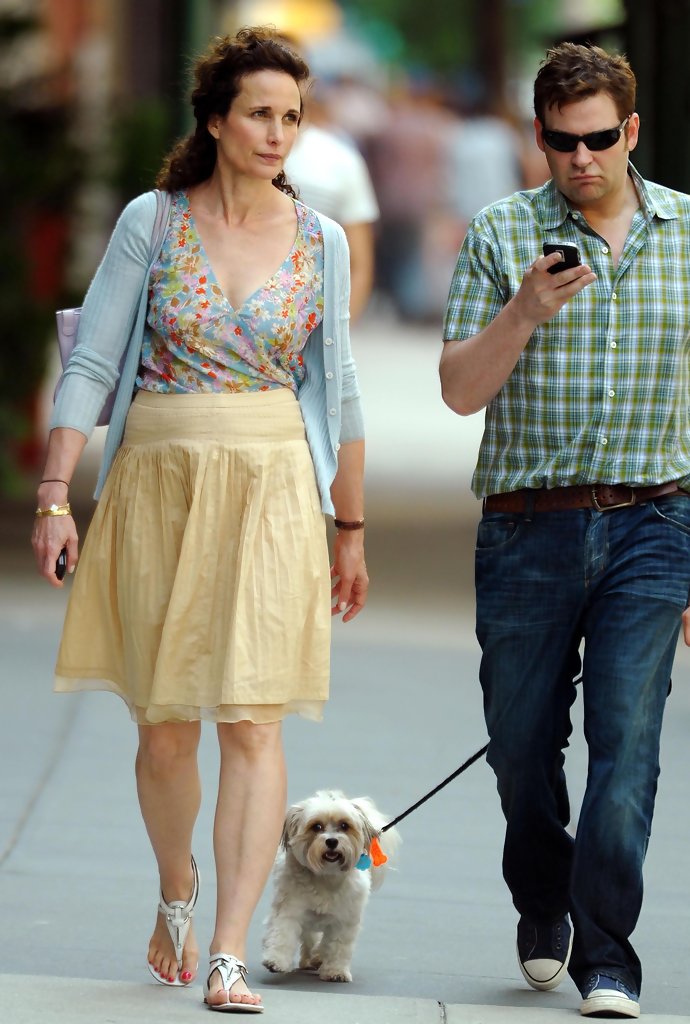 English Bulldog walking in the street with a man and their Shih Tzu