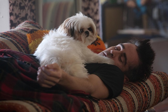 Colin Farell lying on the couch while his Shih tzu is lying on top of him