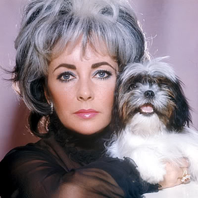 Elizabeth Taylor holding her Shih Tzu