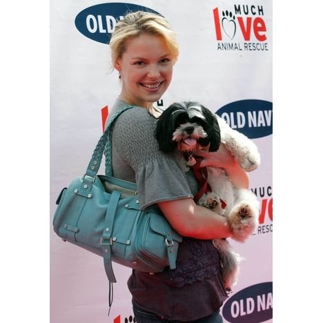 Katherine Heigl smiling while holding her Shih Tzu