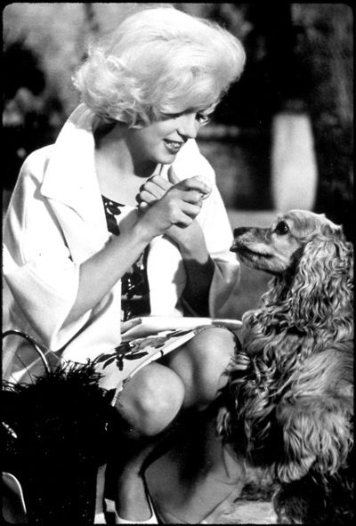 Marilyn Monroe giving her Cocker Spaniel a treat