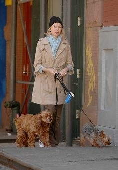 Naomi Watts walking in the street with her Cocker Spaniel and Yorkie