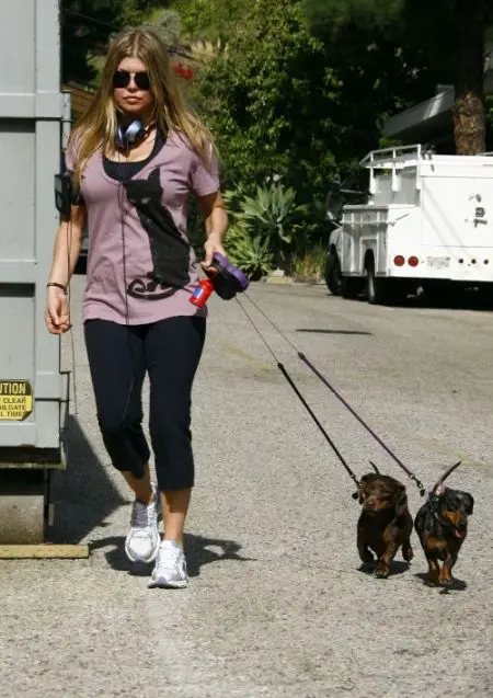 Fergie in her active wear taking her two Dachshunds for a walk