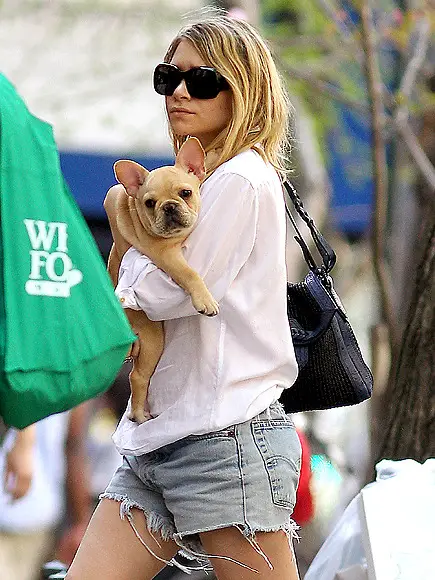 Ashley Olsen walking in the street while holding her French Bulldog puppy