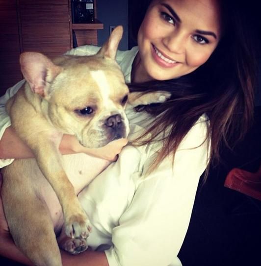 Chrissy Teigen carrying her French Bulldog