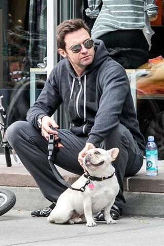 Hugh Jackman sitting by the street while petting his French Bulldog sitting in front of him