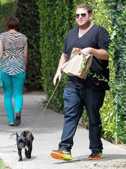 Jonah Hill walking in the street with his French Bulldog on a leash