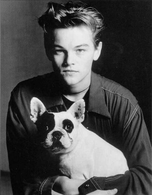Leonardo DiCaprio with a French Bulldog sitting on his lap