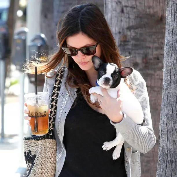 Rachel Bilson holding a French Bulldog puppy in her hand while walking in the street
