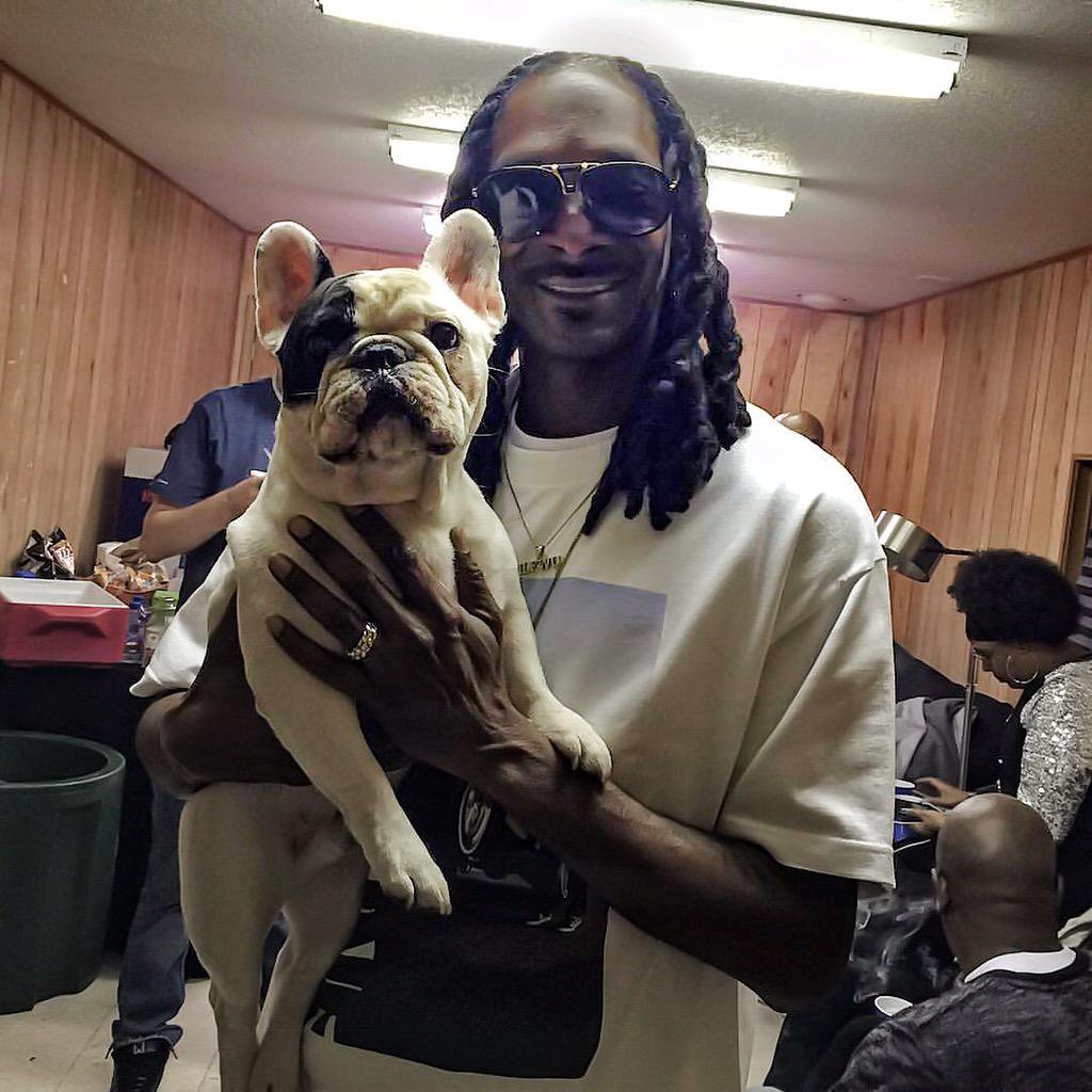 Snoop Dogg holding his French Bulldog