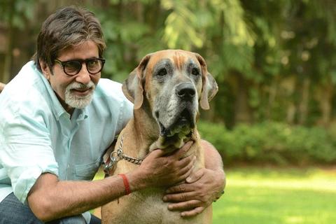 Amitabh Bachchan with his arms around the neck of his Great Dane dog while sitting at the park