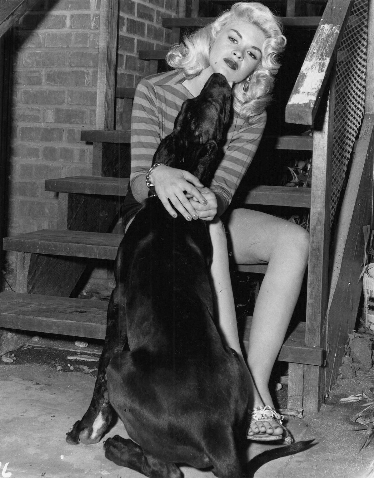 black and white photo of Jayne Mansfield sitting on the stairs while putting her hands around a Great Dane Dog sitting in front of her