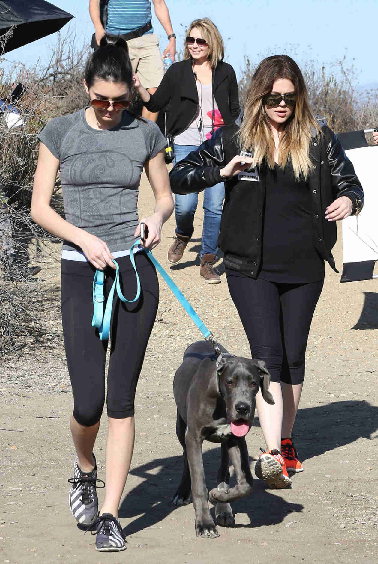 Kendall Jenner walking down the mountain with her Great Dane Puppy