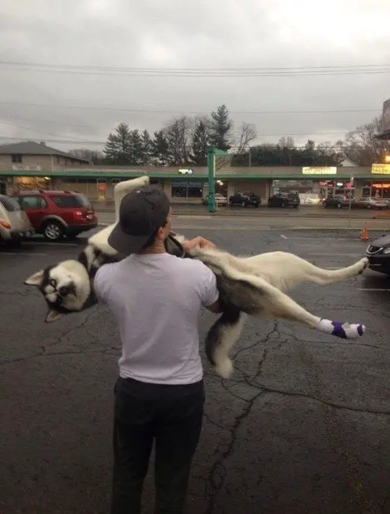 A man standing at the parking lot while carrying a Husky