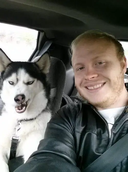 A man taking a selfie inside the car next to his Husky showing its funny face