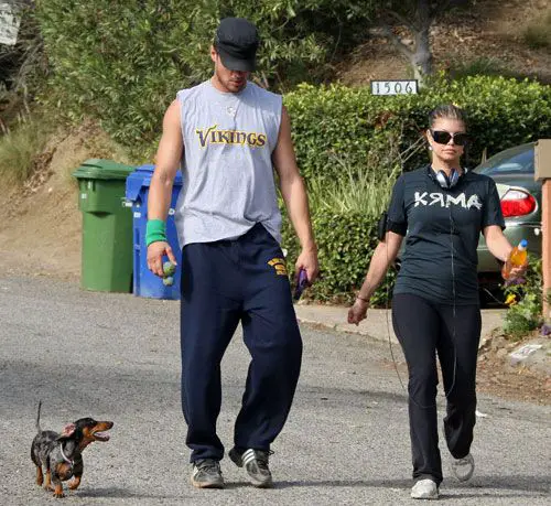Josh Duhamel and Fergie walking in the street with their Dachshund