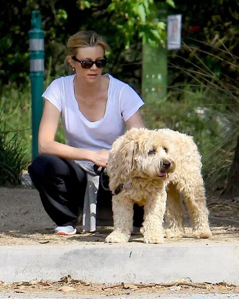Amy Smart resting by the street with her labradoodle