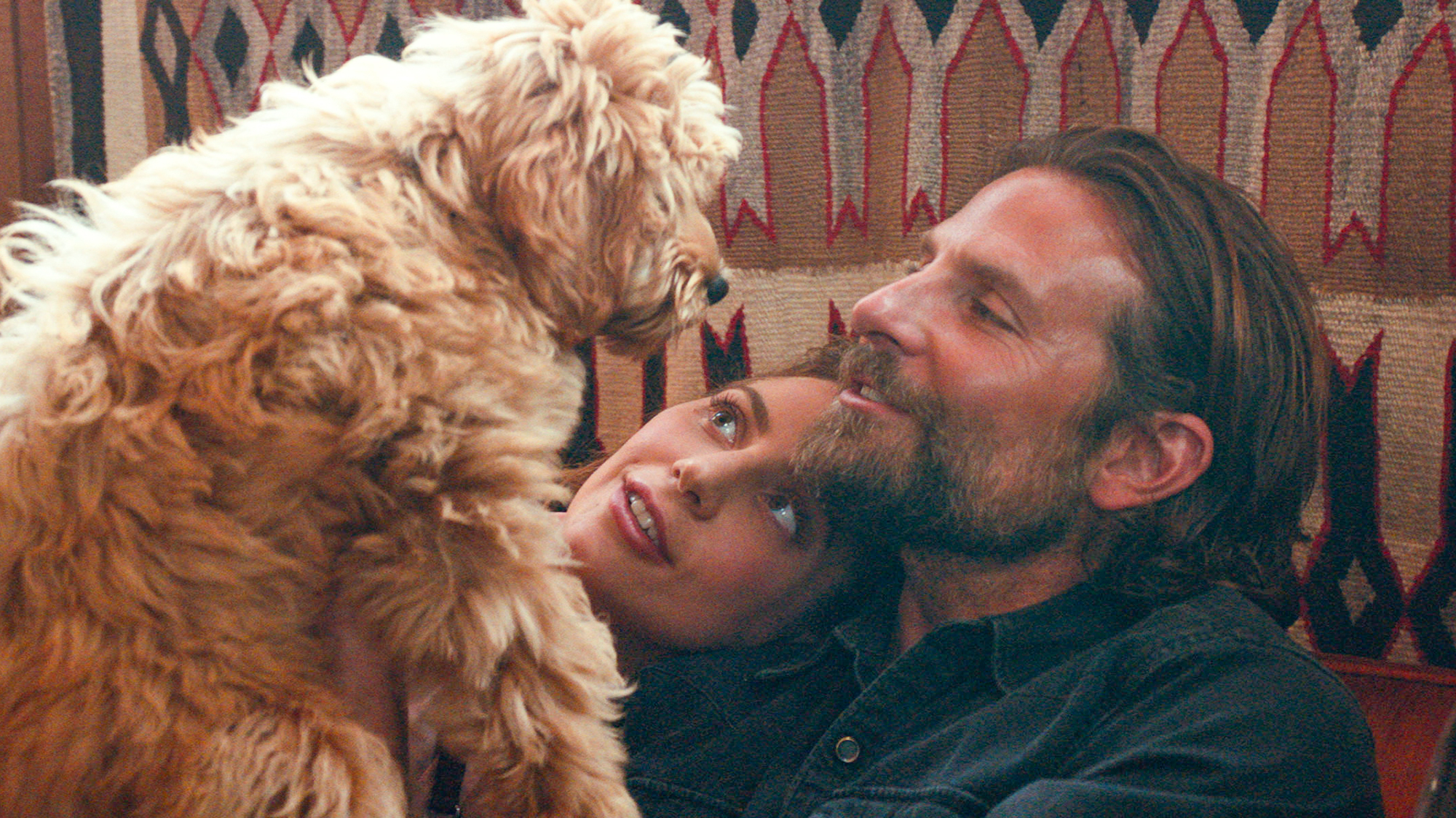 Bradley Cooper holding up his labradoodle