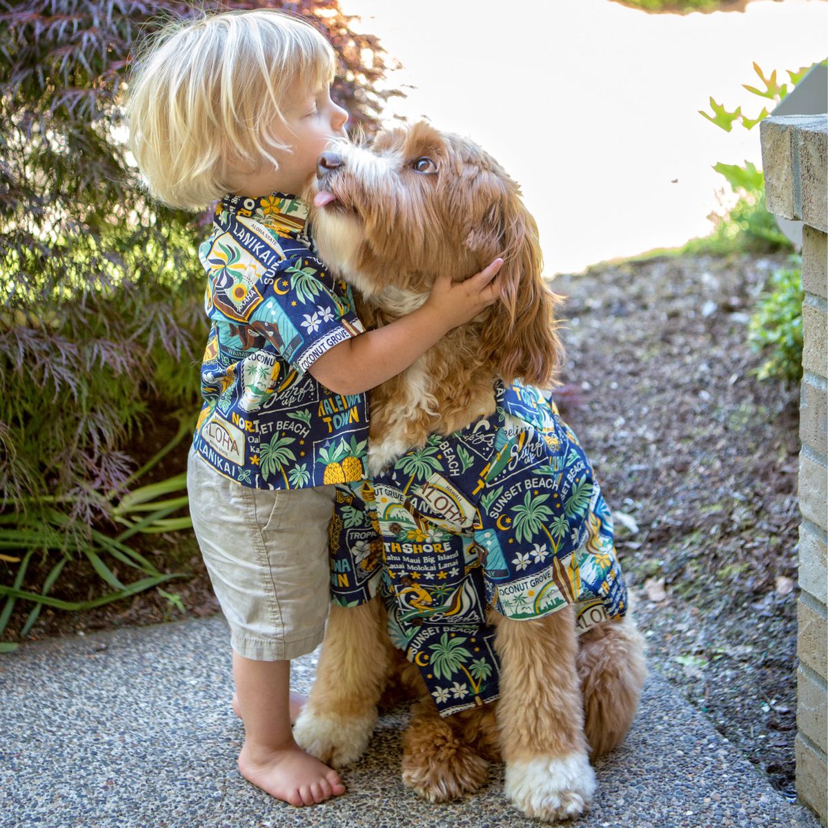 a small kid hugging a Labradoodle sitting next to him while wearing their matchy polos