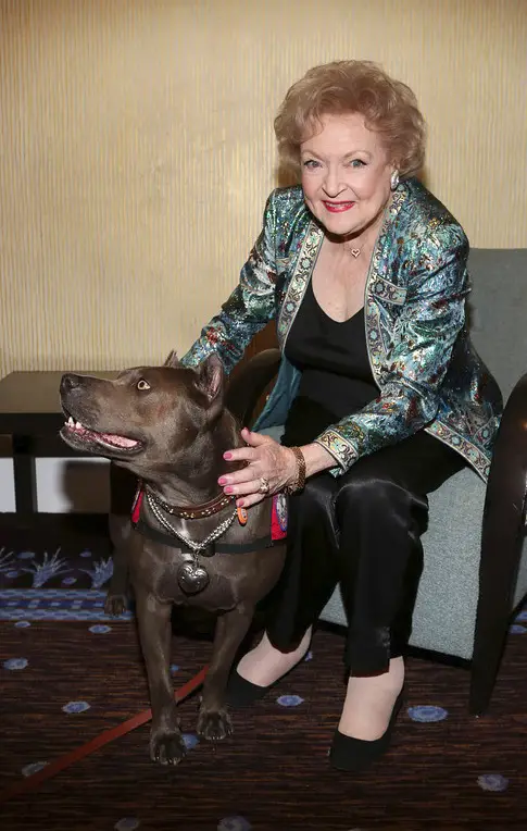 Betty White sitting on the chair while petting her Pit Bull